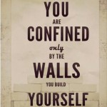 you are confined only by the walls you build yourself