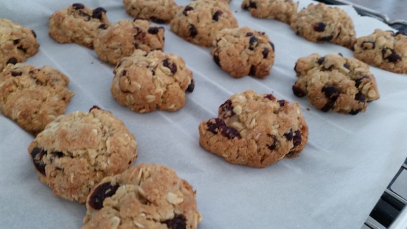 Make & Bake Oat Cranberry cookies